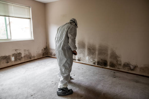 Water Damage Restoration in Wooster, AR